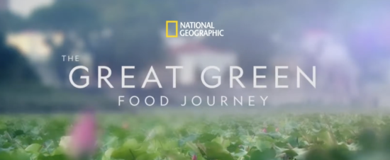 <h1>National geographic Macao Sustainability video</h1><h3></h3><p><a href='/member-profile/?member_id=6'>Ivan Fong</a></p>